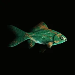 CryptoFish #1792