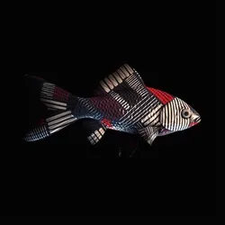 CryptoFish #341
