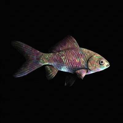 Cryptofish Io