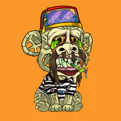 MAKC #2666