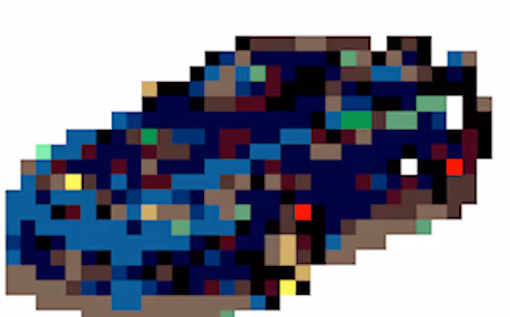 Item #53 Media