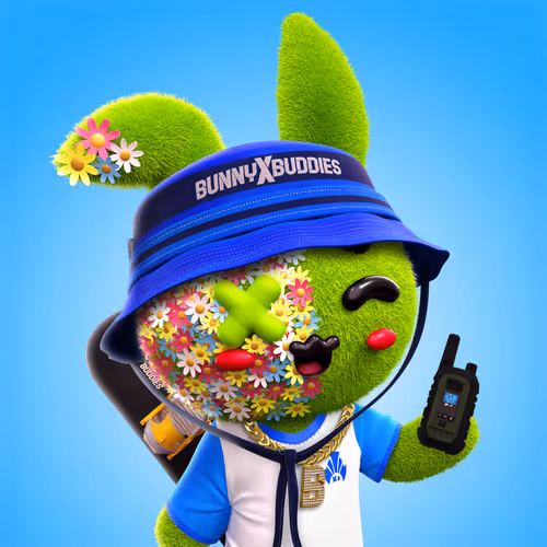 Bunny Buddies New Era