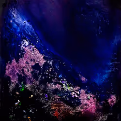 461