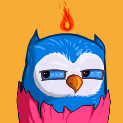coolbirds.wtf #524