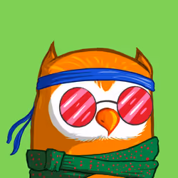 coolbirds.wtf #30