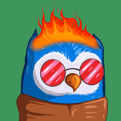 Coolbirds Wtf Official