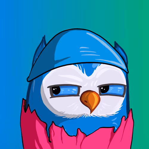Coolbirds Wtf Official