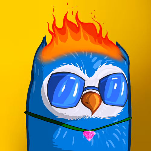 Coolbirds Wtf Official