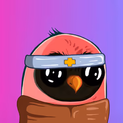 coolbirds.wtf #3