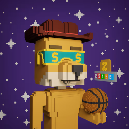 Zcode Doge GOLD NFT #173