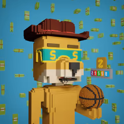 Zcode Doge GOLD NFT #34