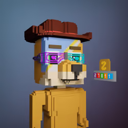Zcode Doge GOLD NFT #13