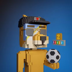Zcode Doge GOLD NFT #102