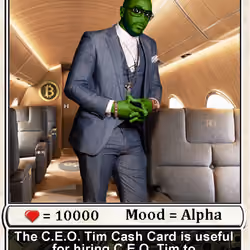 CEOTIMCASH