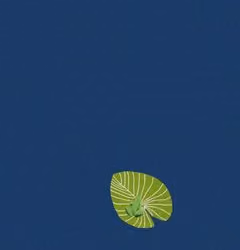 LILYPAD S8 C50 [1/100]