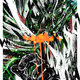 3865407786361