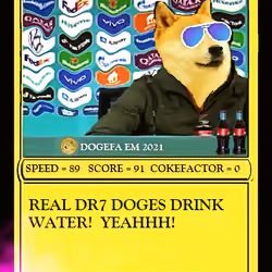 DOGENALDO S1, #19 (1/100 RARE DOGE DIRECTORY)