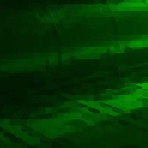 Chronicles of Lilies & Logic