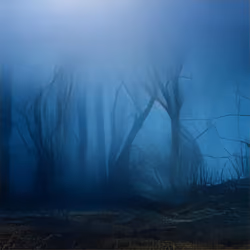 Forgotten Memory #57