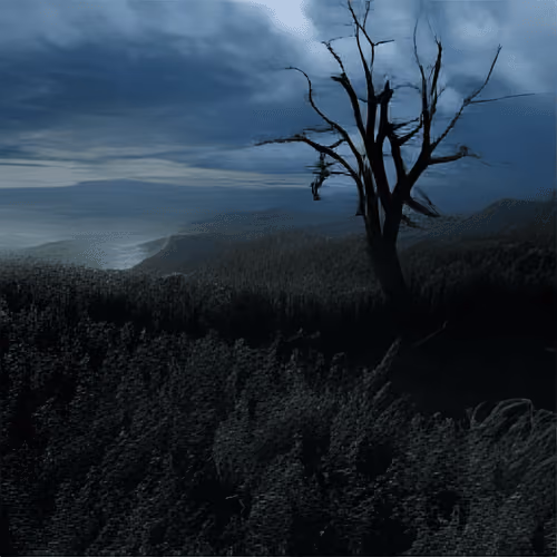 Forgotten Memory #147