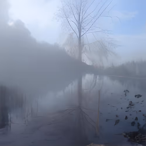 Forgotten Memory #61