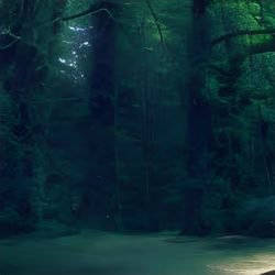 Forgotten Memory #277