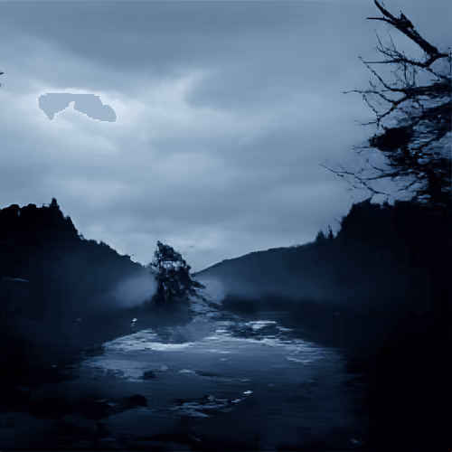 Forgotten Memory #11