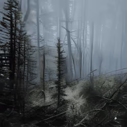 Forgotten Memory #218