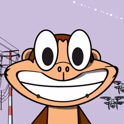 50