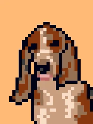 Doggynft2021