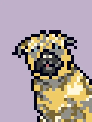 Doggynft2021