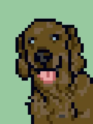 Doggynft2021