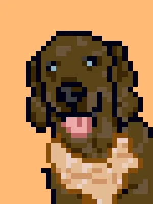 Doggynft2021