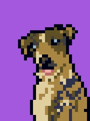 Doggynft2021