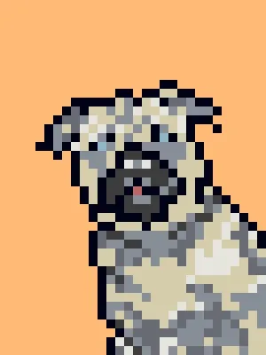 Doggynft2021