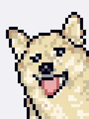Doggynft2021