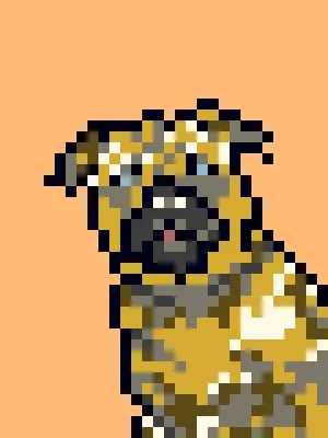 Doggynft2021