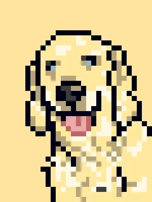 Doggynft2021
