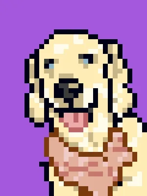 Doggynft2021