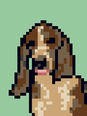 Doggynft2021