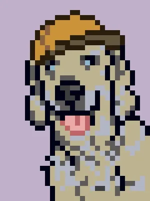 Doggynft2021