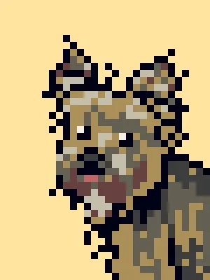 Doggynft2021