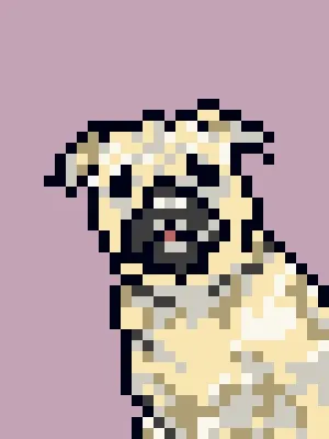 Doggynft2021