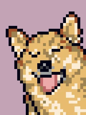 Doggynft2021