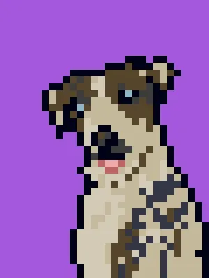 Doggynft2021