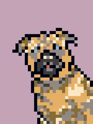 Doggynft2021