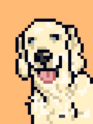 Doggynft2021