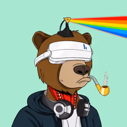 Okay Cyber Bears #335