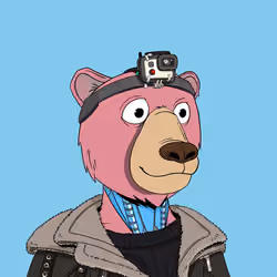 Okay Cyber Bears #374