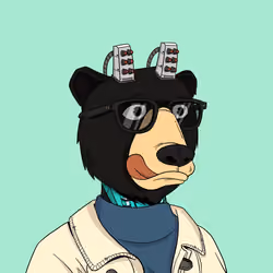 Okay Cyber Bears #339